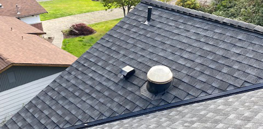 shingles roof wa